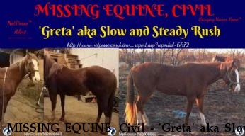 MISSING EQUINE, Civil - 'Greta' aka Slow and Steady Rush, $5000.00 REWARD  Near Temecula, CA, 92591